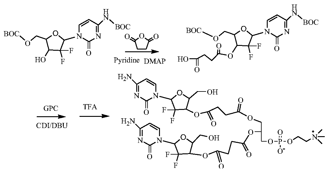 A kind of phospholipid compound of hydrophilic drug, its pharmaceutical composition and application