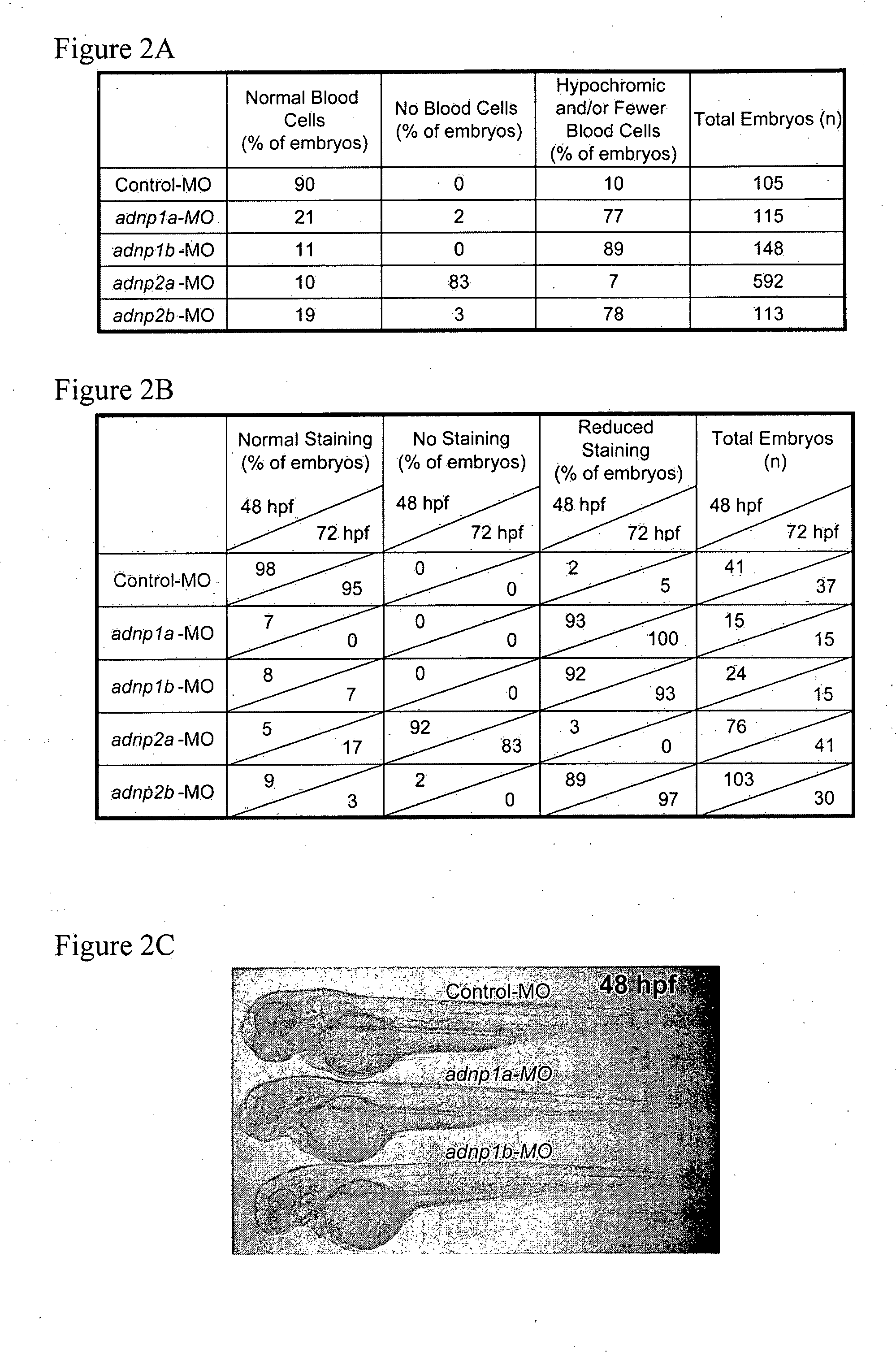 Treatment of anemia by adnp and adnf polypeptides