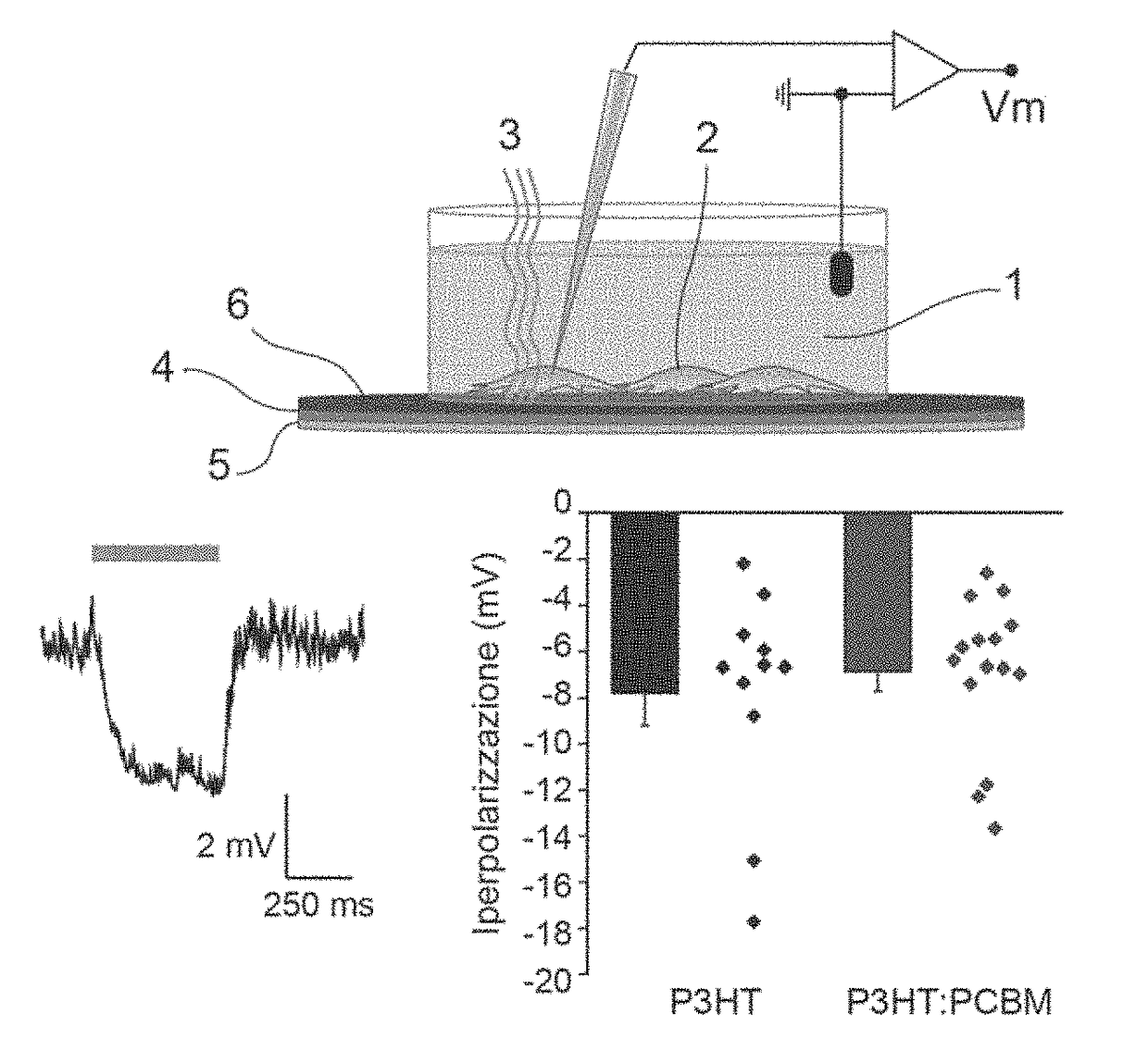 Organic devices for the photoinhibition of excitable cells