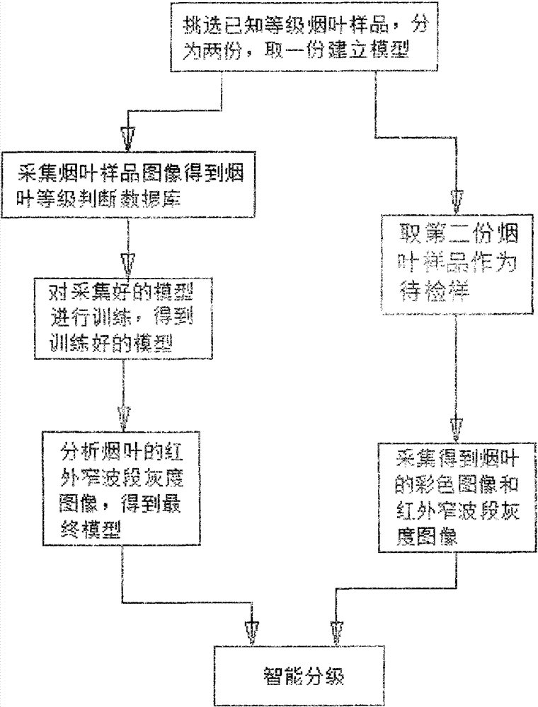 Tobacco leaf intelligent grading system and method based on machine vision and hyperspectral technology