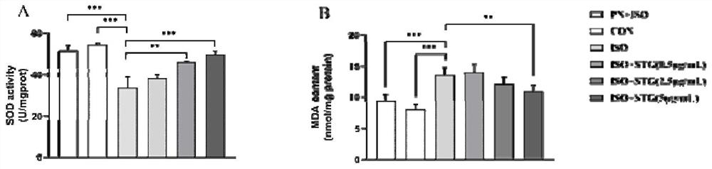 Application of stigmasterol to preparation of medicine for improving cardiac hypertrophy