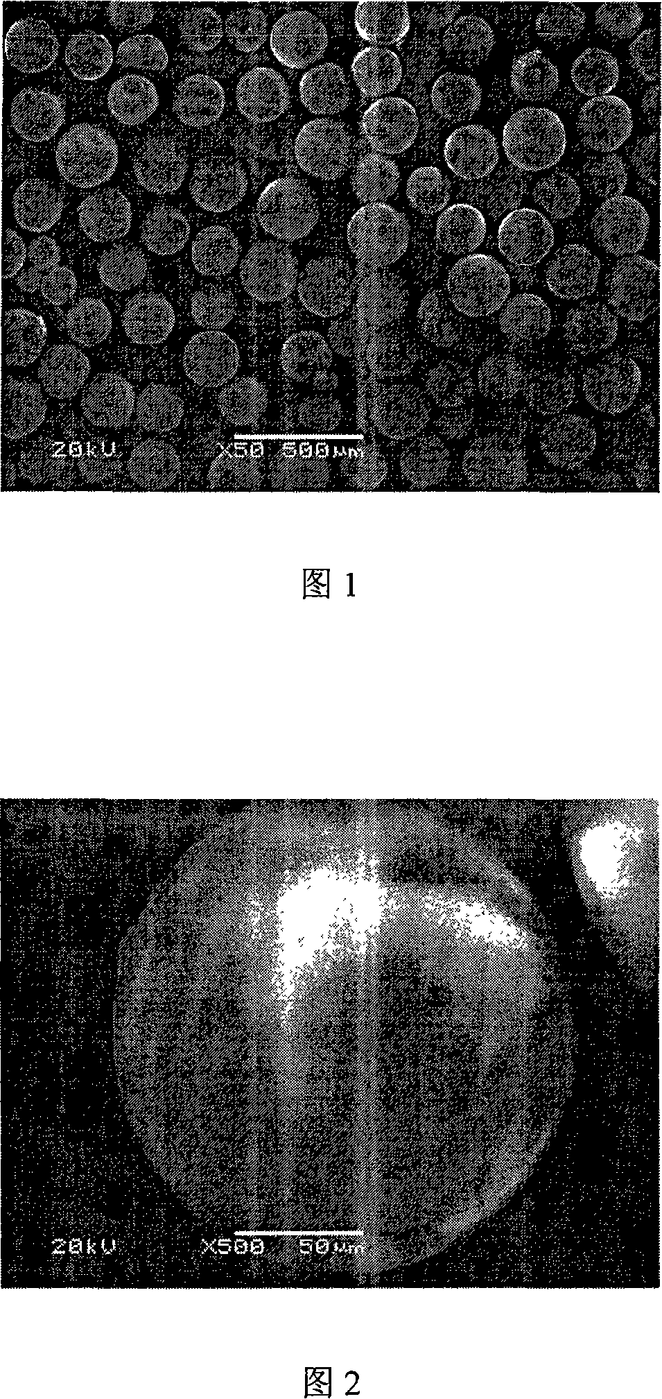 Elution-extracting resin using amide compound as extracting agent and preparation method thereof