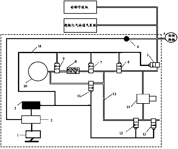 Animal expiration device for MRI (magnetic resonance imaging) of lung hyperpolarization gas