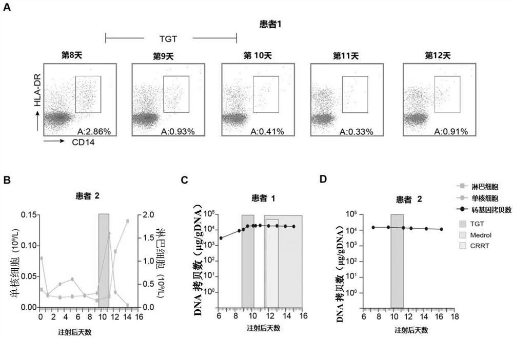 Application of tripterygium glycosides tablet in preparation of drugs for treating CAR-T induced cytokine release syndrome