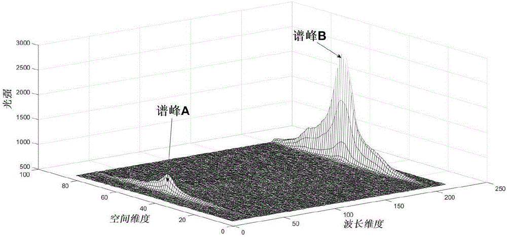 Particle granularity measuring method based on two-dimensional Raman spectrum