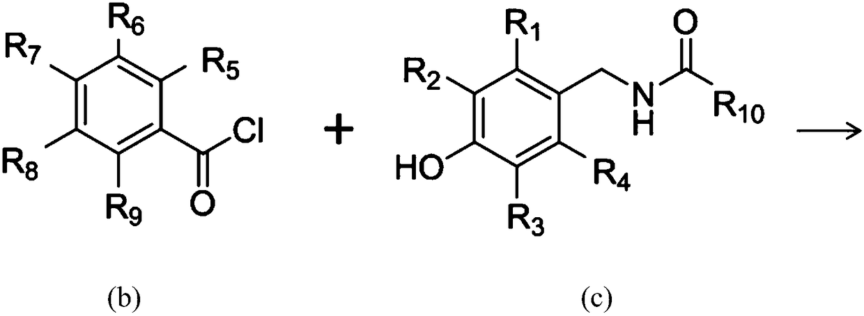 Salicylic acid-containing capsaicin ester derivative, preparation method and application