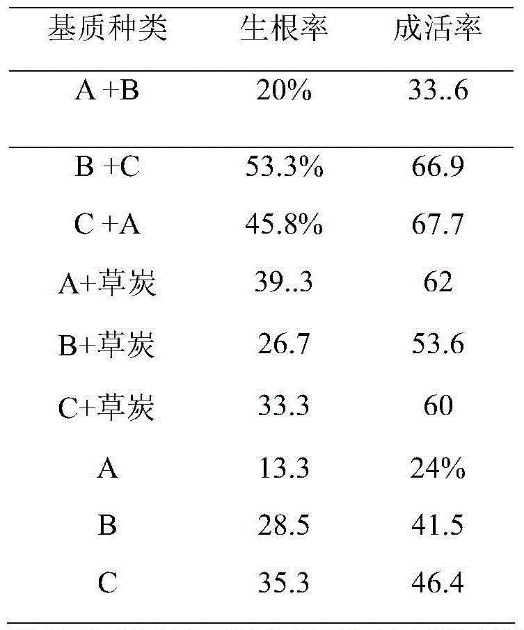 Epicormic branch cutting medium for vaccinium uliginosum and preparation method thereof