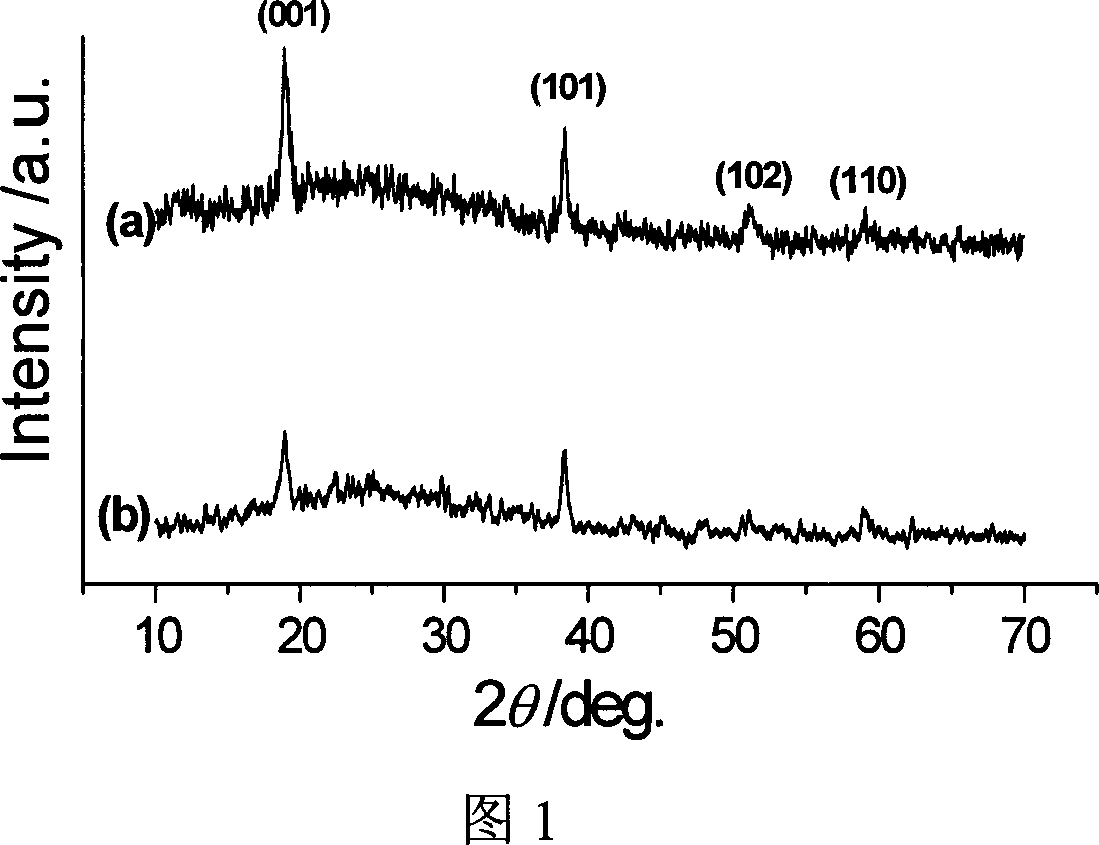 Method for preparing anthoid crystalline magnesium hydroxide film in microcosmic appearance