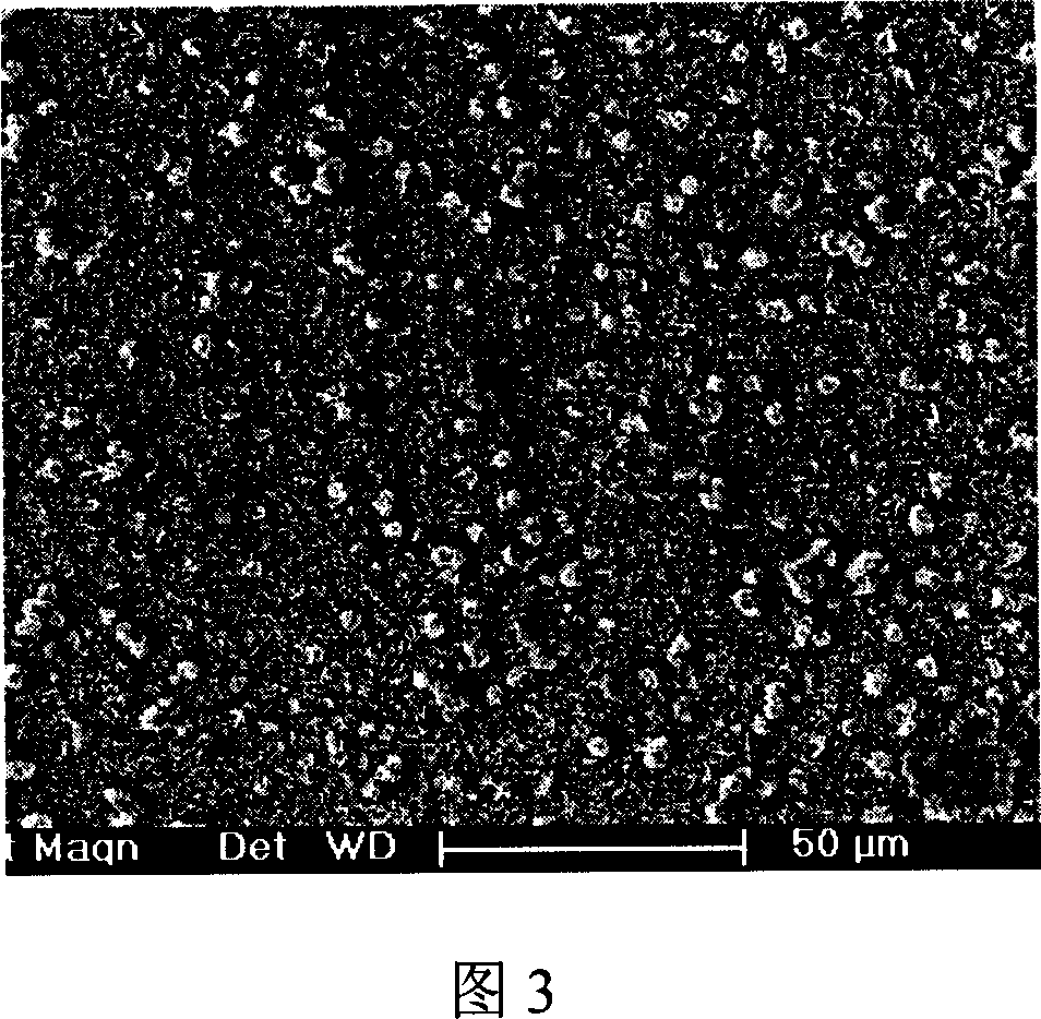 Method for preparing anthoid crystalline magnesium hydroxide film in microcosmic appearance