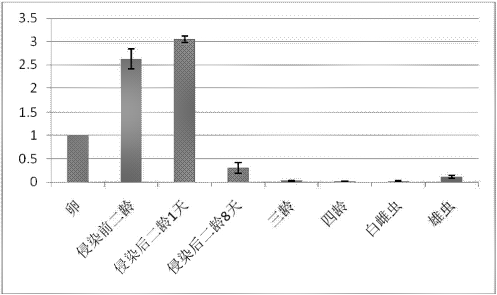 Ha-62292 Protein, encoding gene and application of Heterodera avenae