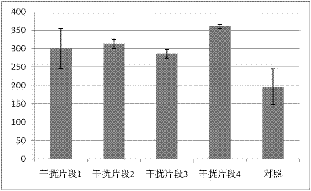 Ha-62292 Protein, encoding gene and application of Heterodera avenae