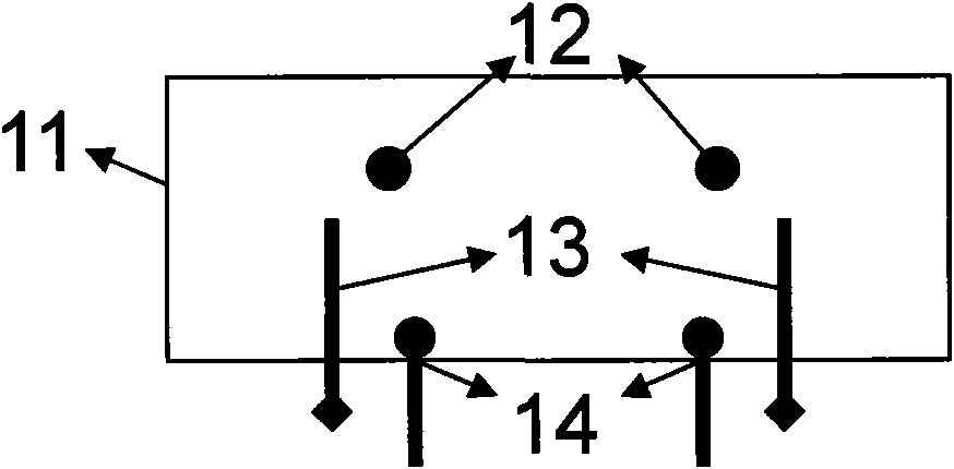 Surface plasma coupling fluorescence detection apparatus