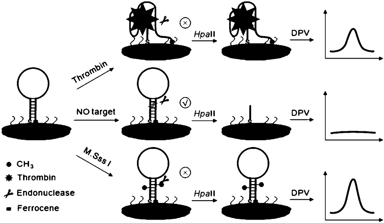 Aptamer probe for detecting two kinds of tumor makers and electrochemical biosensor and preparation method and application thereof