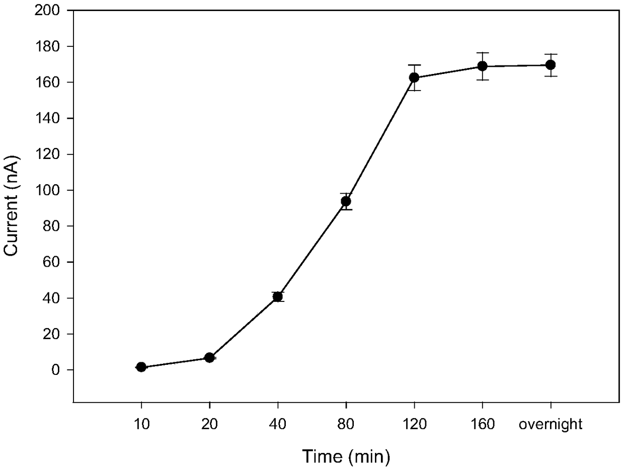 Aptamer probe for detecting two kinds of tumor makers and electrochemical biosensor and preparation method and application thereof