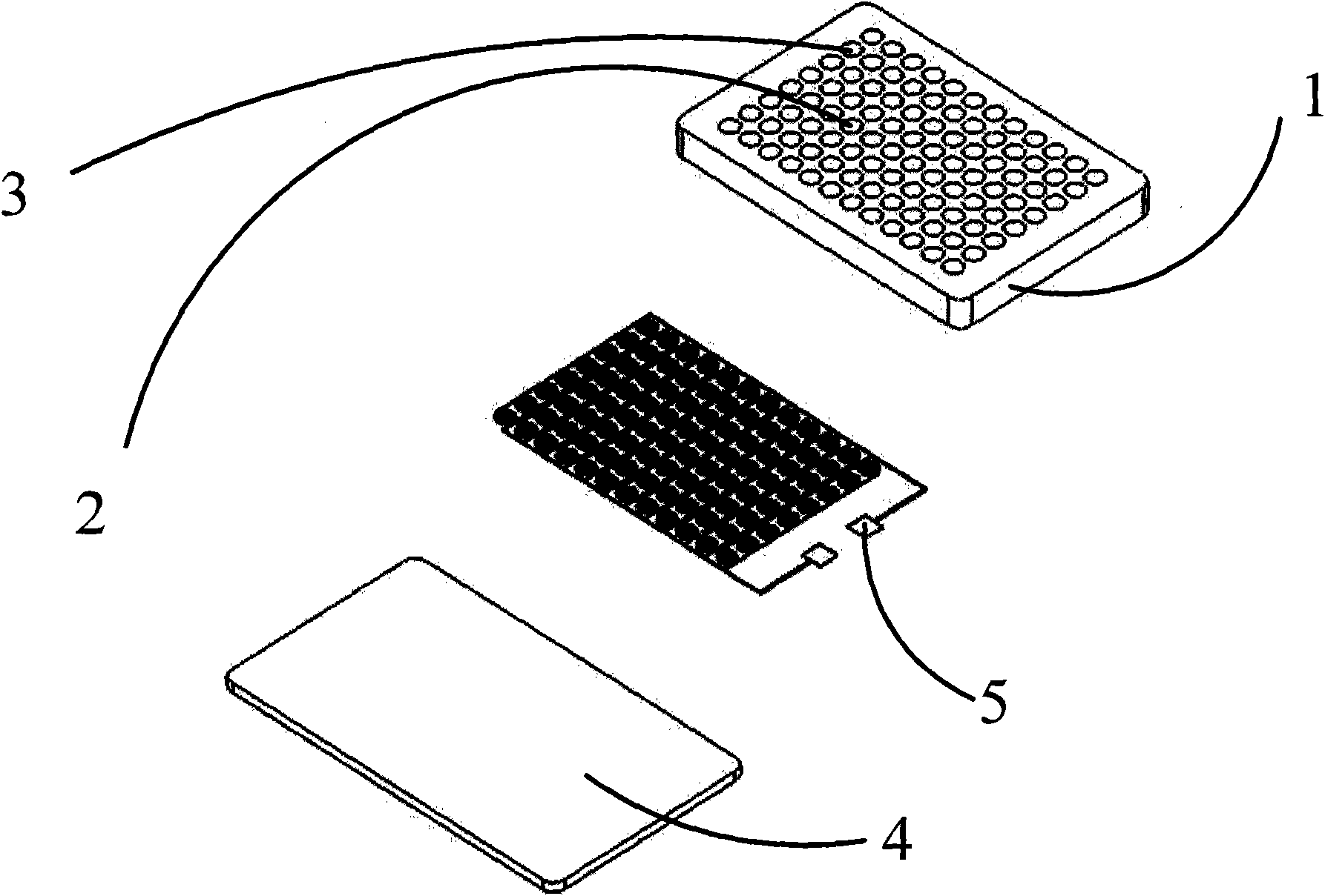 Electroporated chip and porous plate device base on electroporated chip