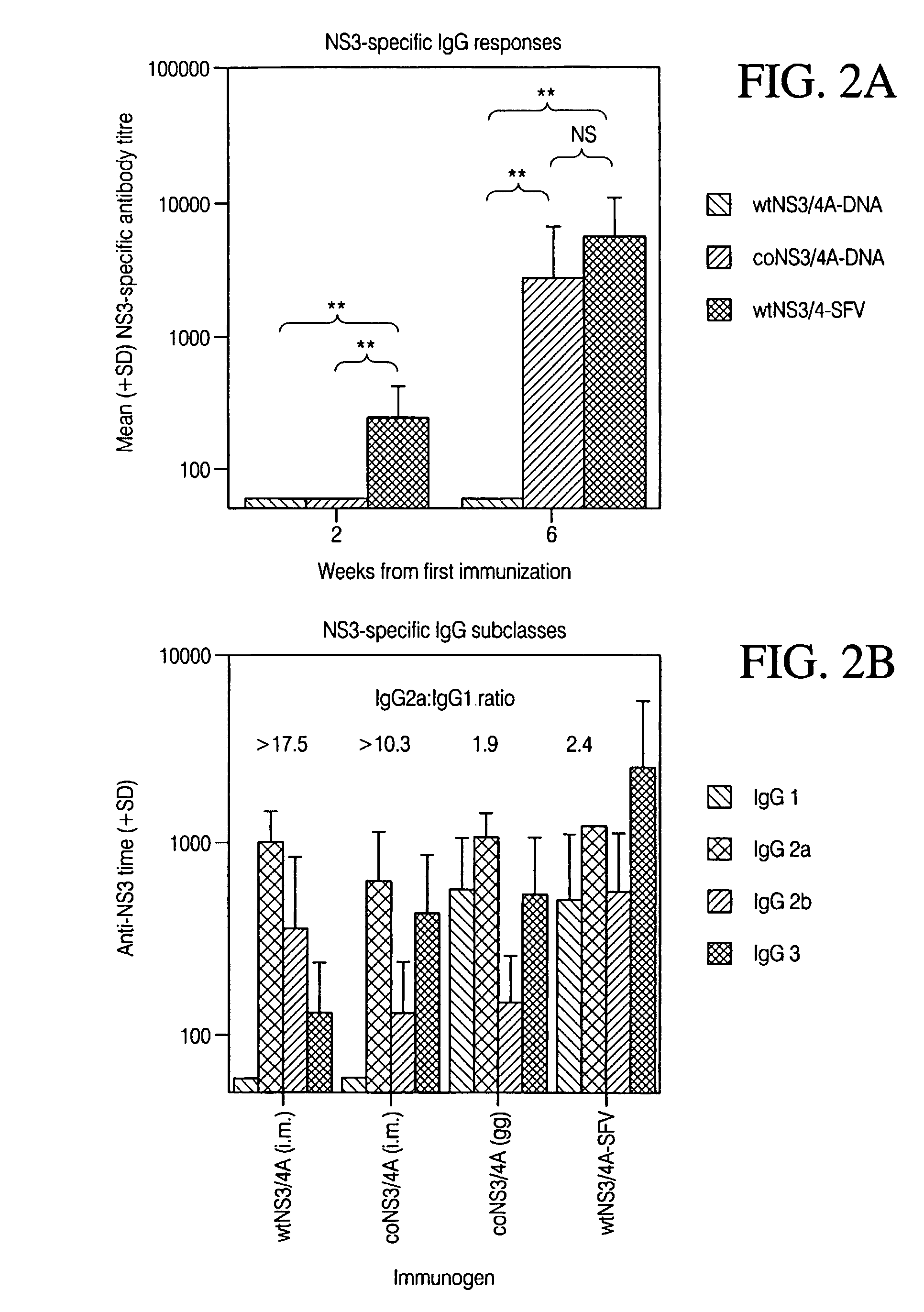 Transgenic mouse models of hepatitis C virus (HCV) and identification of HCV therapeutics