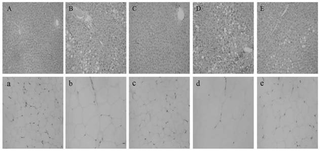 Functional-oligosaccharide-containing saccharose-free hawthorn coils, preparation method therefor and application of functional-oligosaccharide-containing saccharose-free hawthorn coils