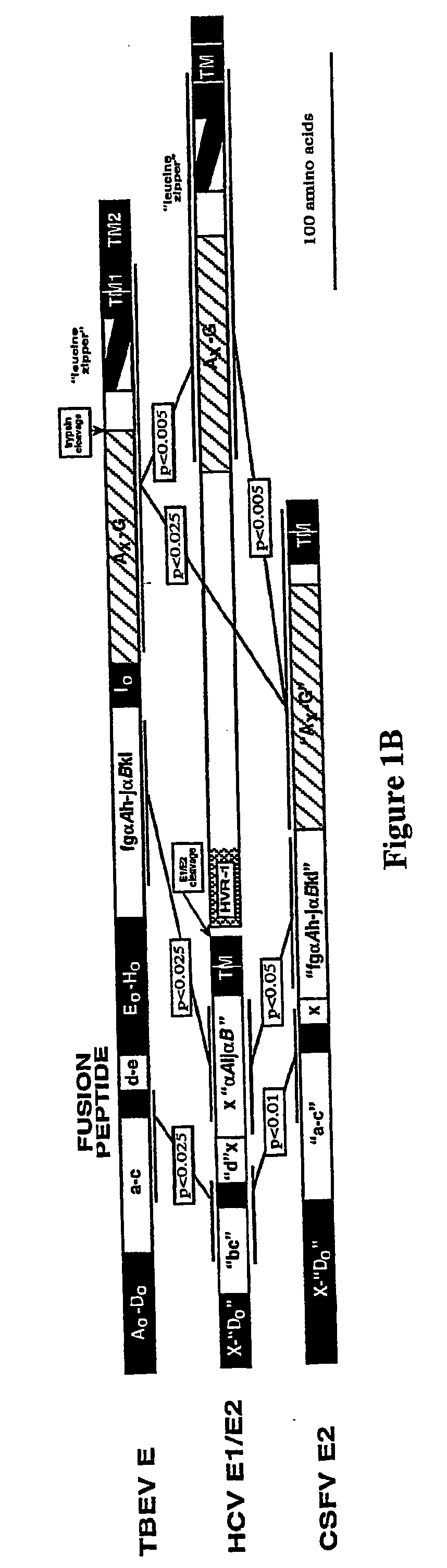 Flavivirus fusion inhibitors