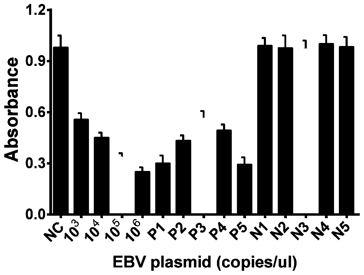 Detection method and application of EBV based on CRISPR-Cas12a and G-quadruplex-heme