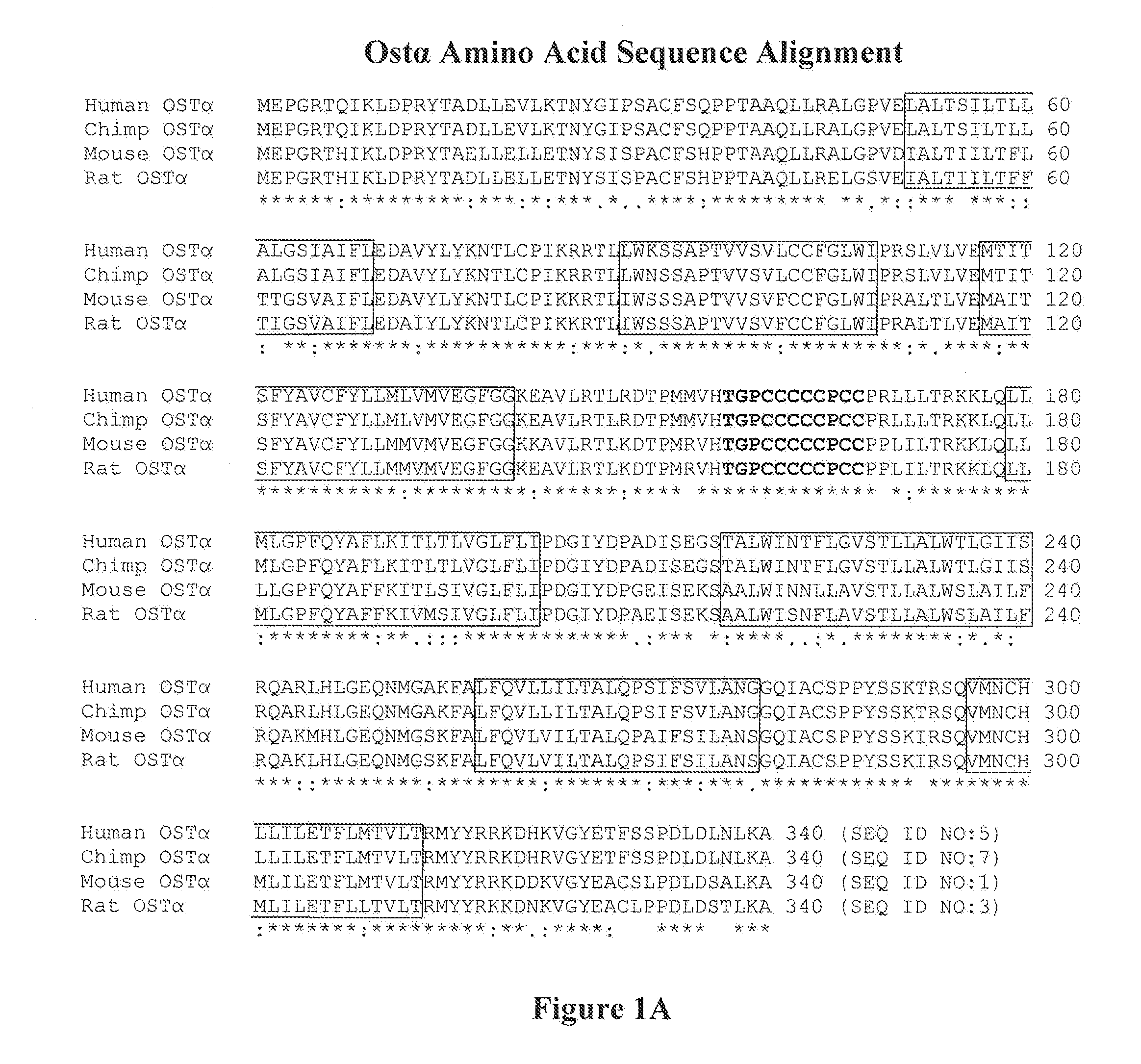 METHODS OF MODULATING THE ORGANIC SOLUTE AND STEROID TRANSPORTER (OSTalpha-OSTbeta) ACTIVITY AND TREATING ASSOCIATED CONDITIONS