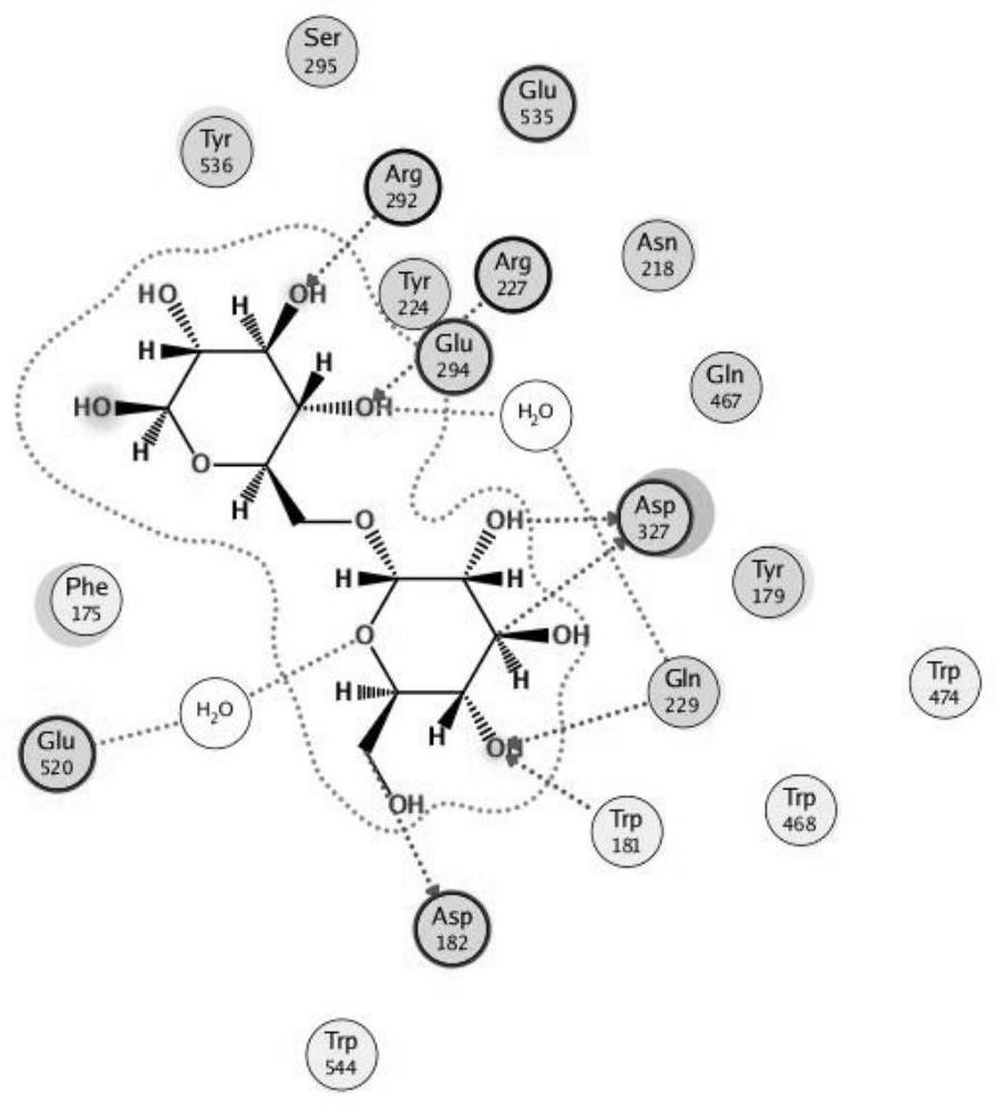 Trehalase inhibitor and application thereof