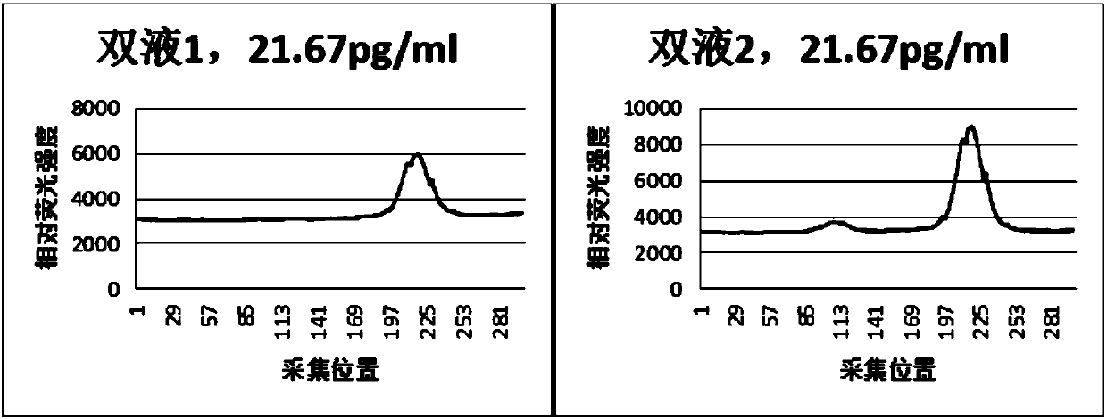 Immunofluorescence quantitative test strip for detecting N-terminal atrial natriuretic peptide