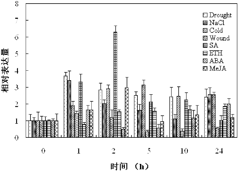 Transcription factor ERF related to soybean stress, coding gene thereof and application of coding gene