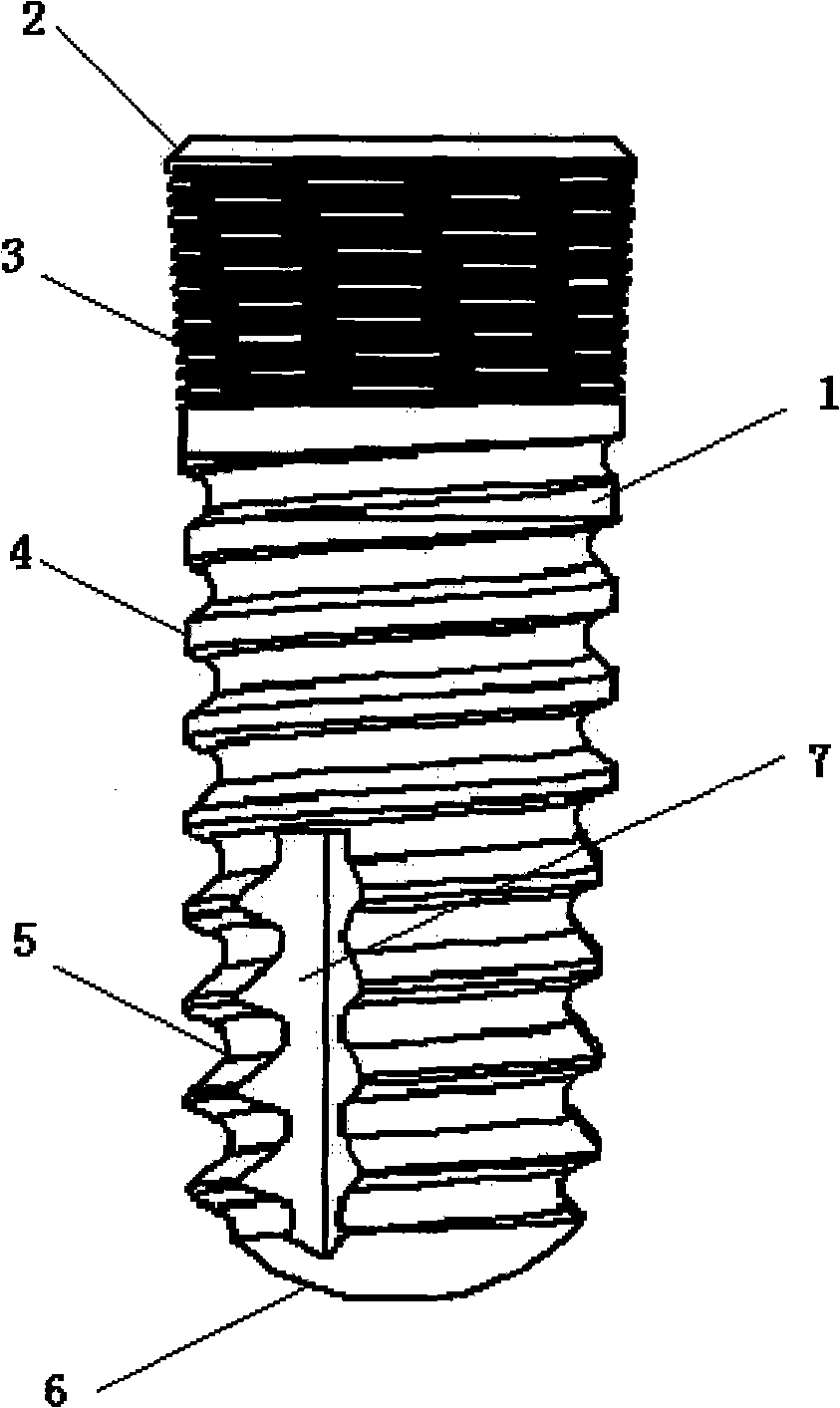 Screw thread planting body