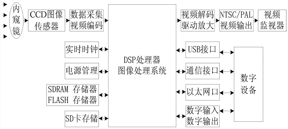 Electronic endoscope image system and electronic endoscope image processing method