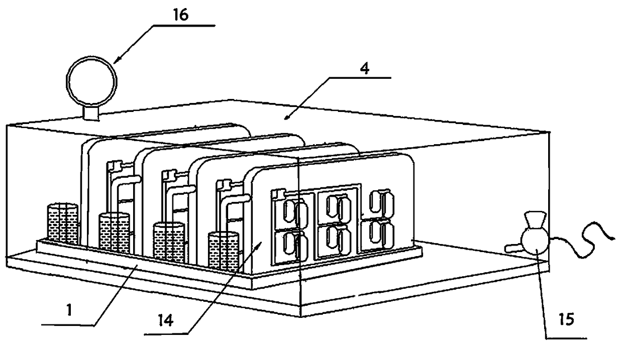 Rapid feeding apparatus and method for clinical specimen