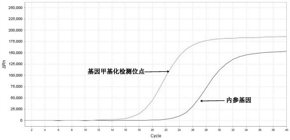 Cervical cancer gene methylation detection primer probe combination and kit and application thereof