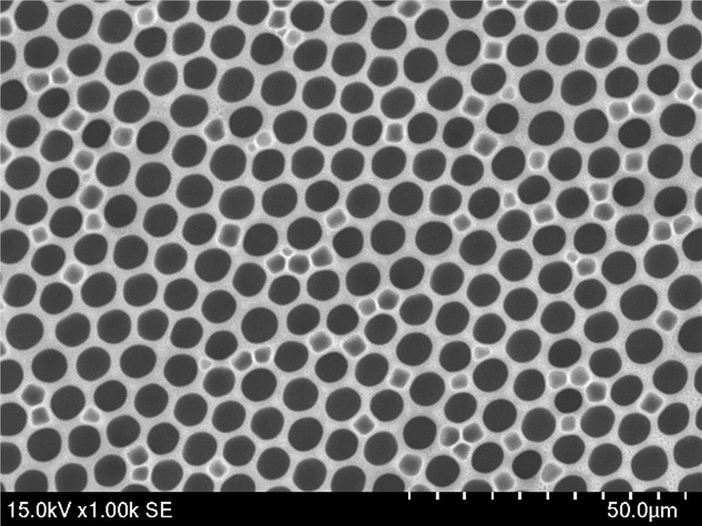 A kind of preparation method of hydrophilic ordered porous membrane material