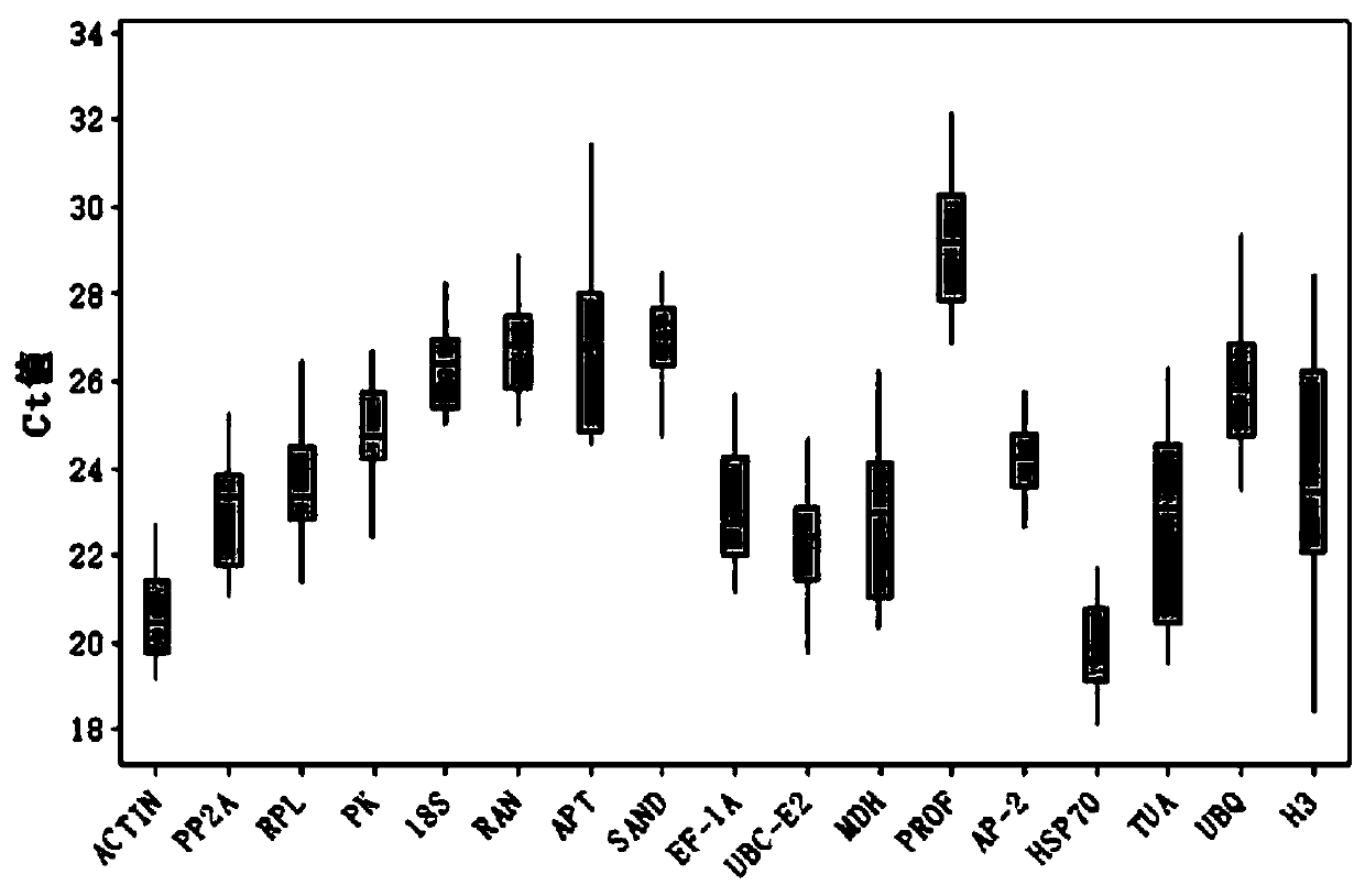 Fluorescent quantitative internal reference genes and their primers and applications in different tissues in Changshan, Haizhou