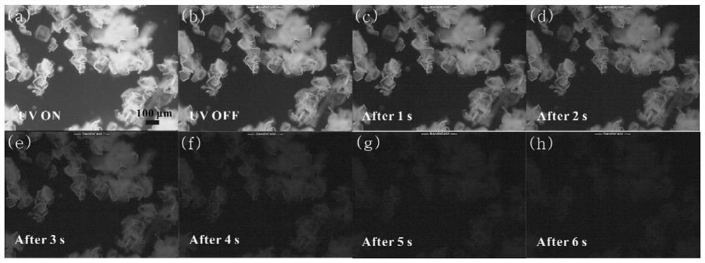 Application of D-A type organic doped crystal afterglow material in counterfeiting prevention