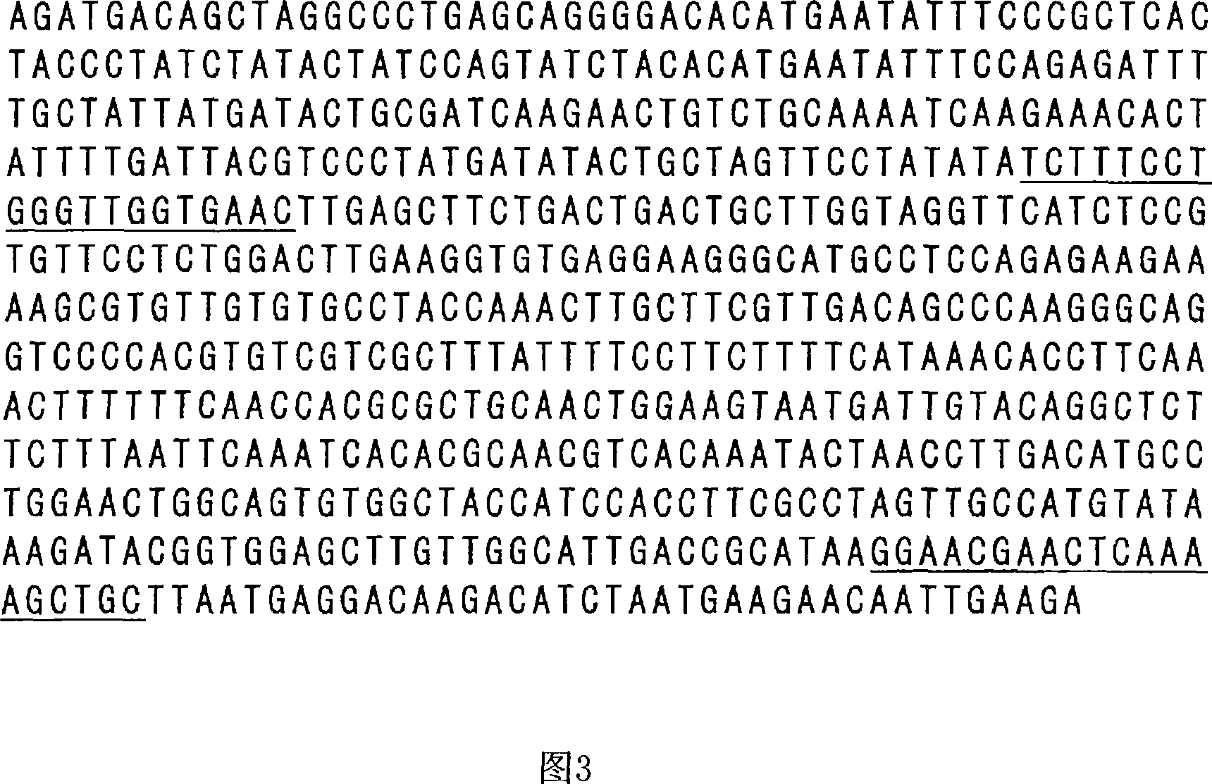 Genetic marker linked to gene locus involved in barley resistance to yellow mosaic disease and use thereof