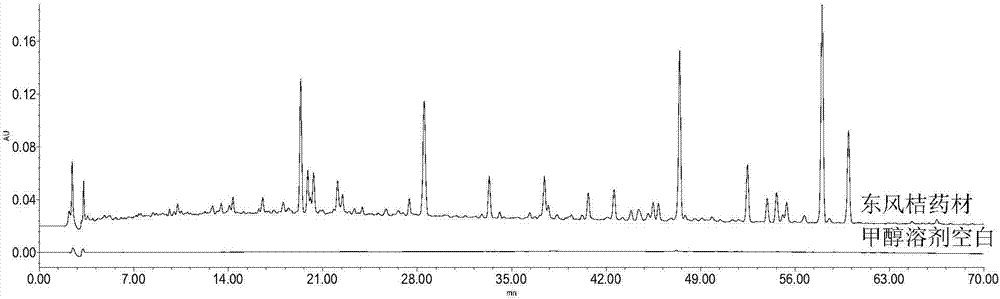 Construction method and detection method for atalantia buxjfolia medicinal material finger-print