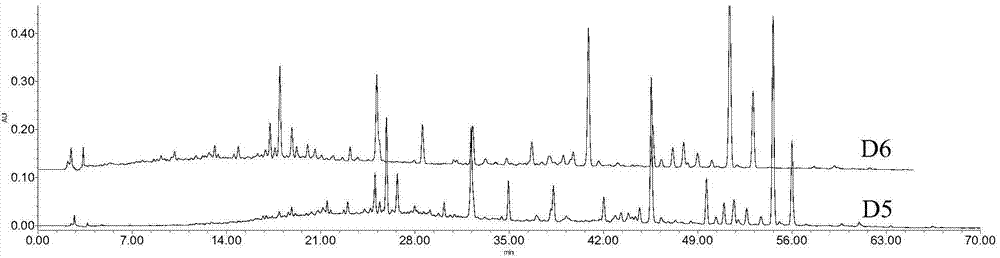 Construction method and detection method for atalantia buxjfolia medicinal material finger-print