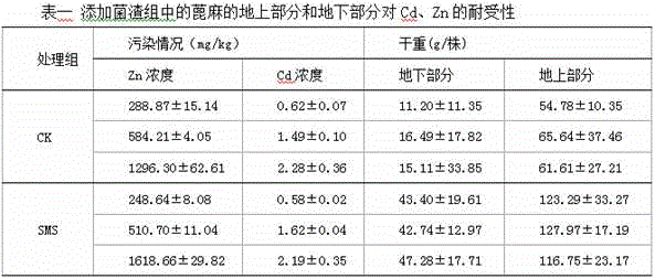 Method for promoting ricinus communis to repair cadmium-zinc combined polluted soil