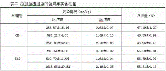 Method for promoting ricinus communis to repair cadmium-zinc combined polluted soil