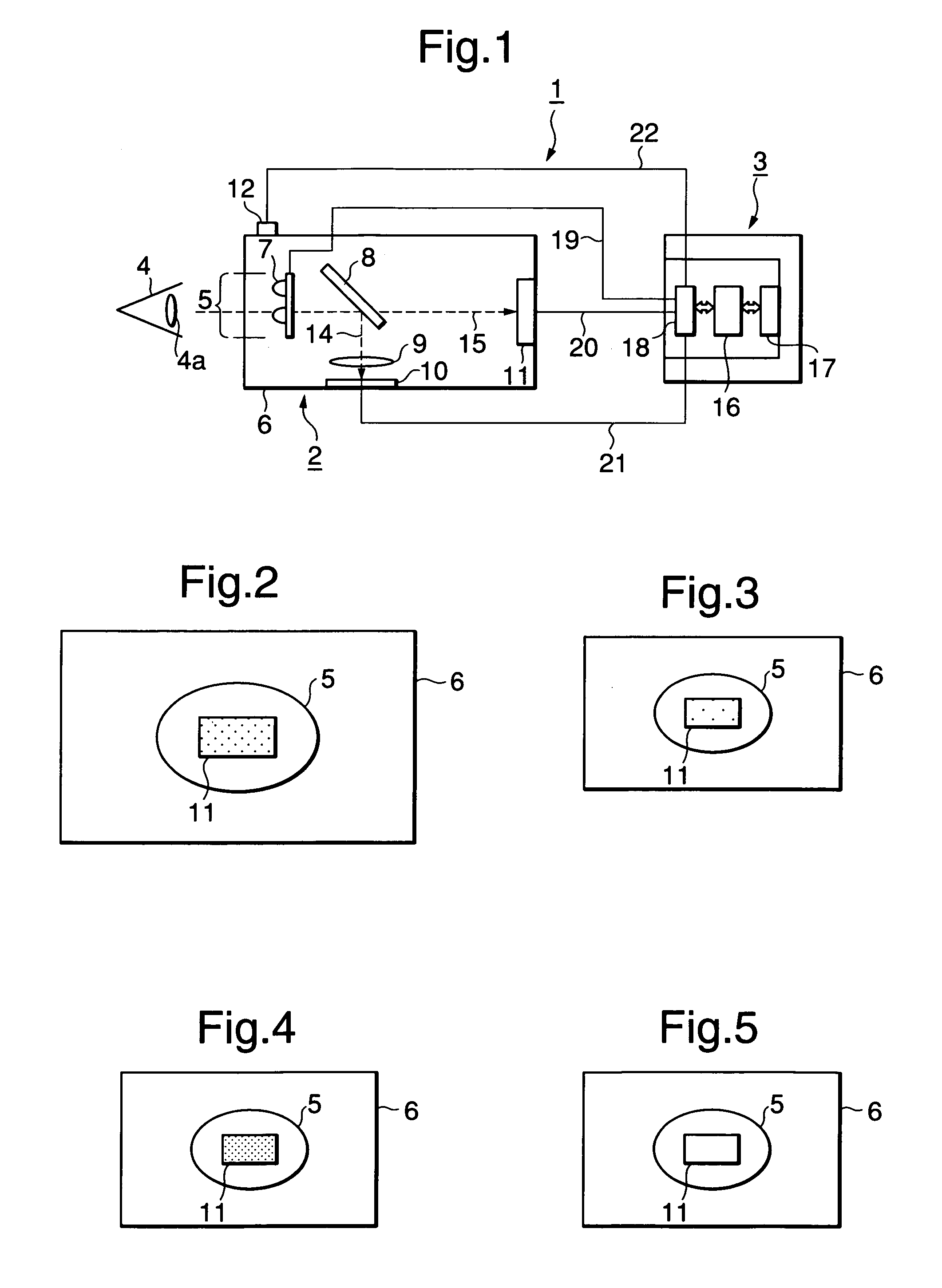 Iris identifying apparatus