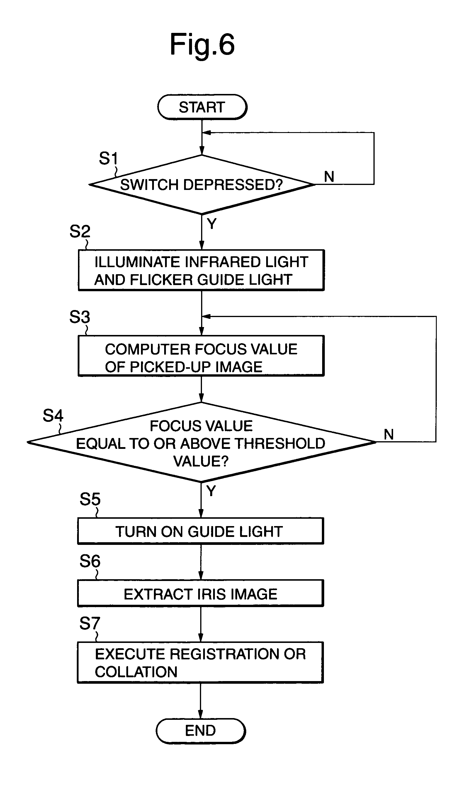 Iris identifying apparatus