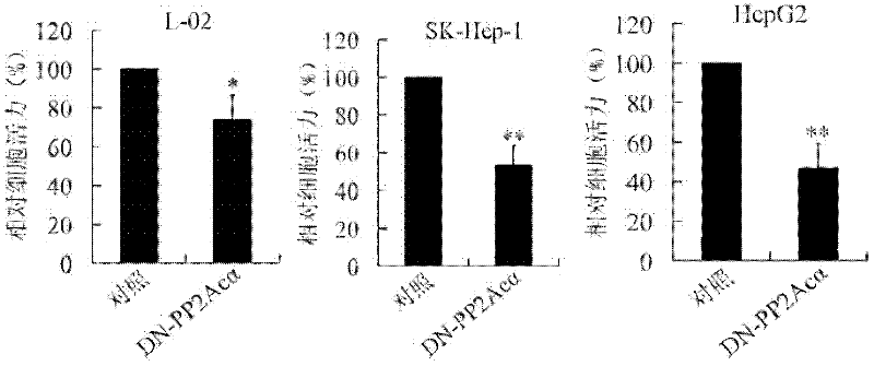 Recombinant plasmid and virus of tissue specificity and application thereof.