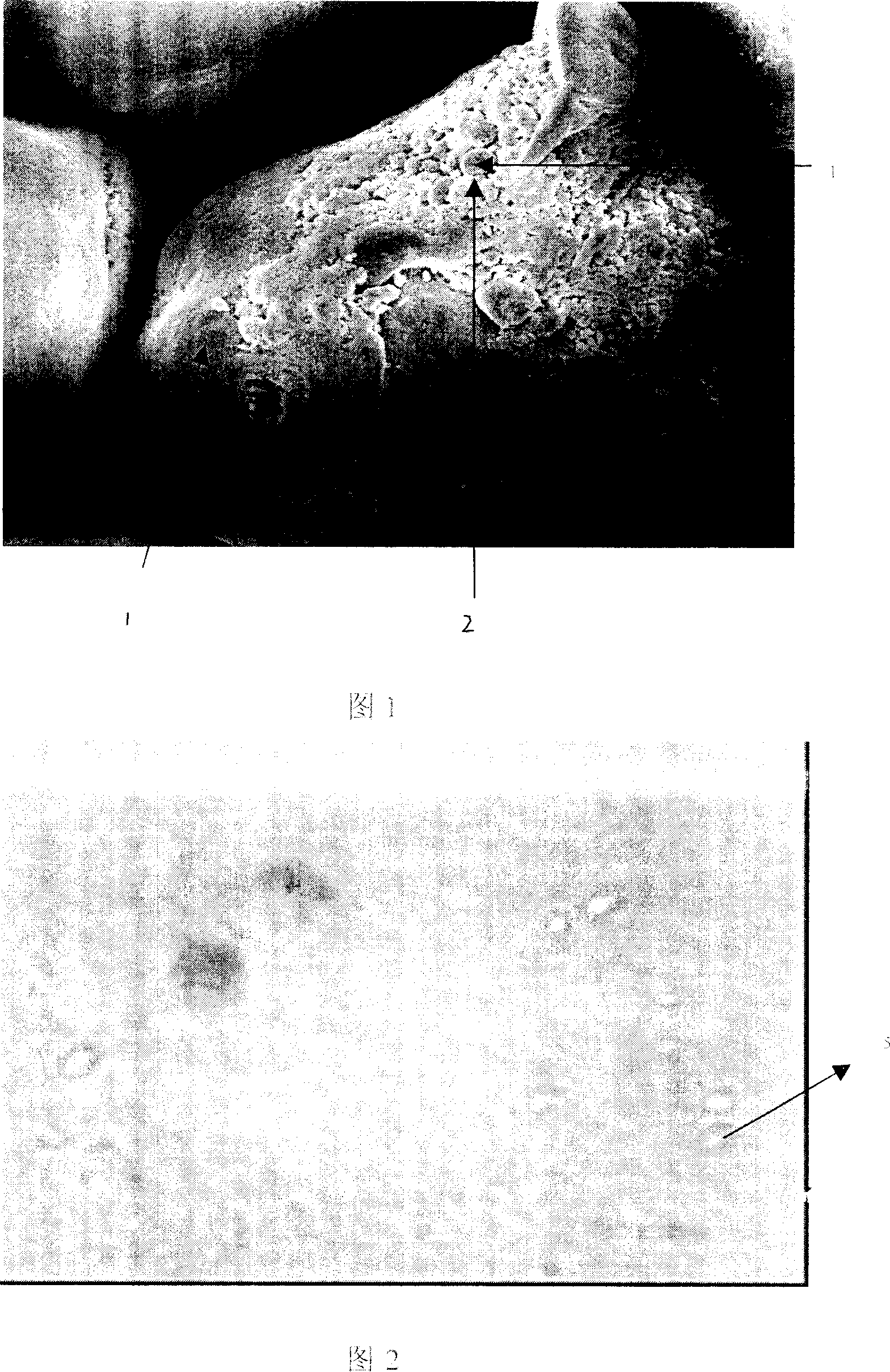 Multi-layer nuclear shell structural fluorin-containing polymer particle and thermoplastic polyolefin product having the same