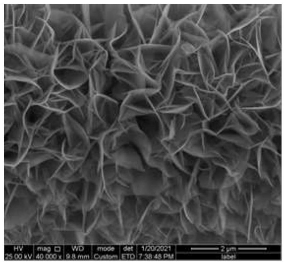 Transition metal phosphide with phosphorus vacancies filled with non-metallic elements, preparation of transition metal phosphide and lithium-sulfur battery