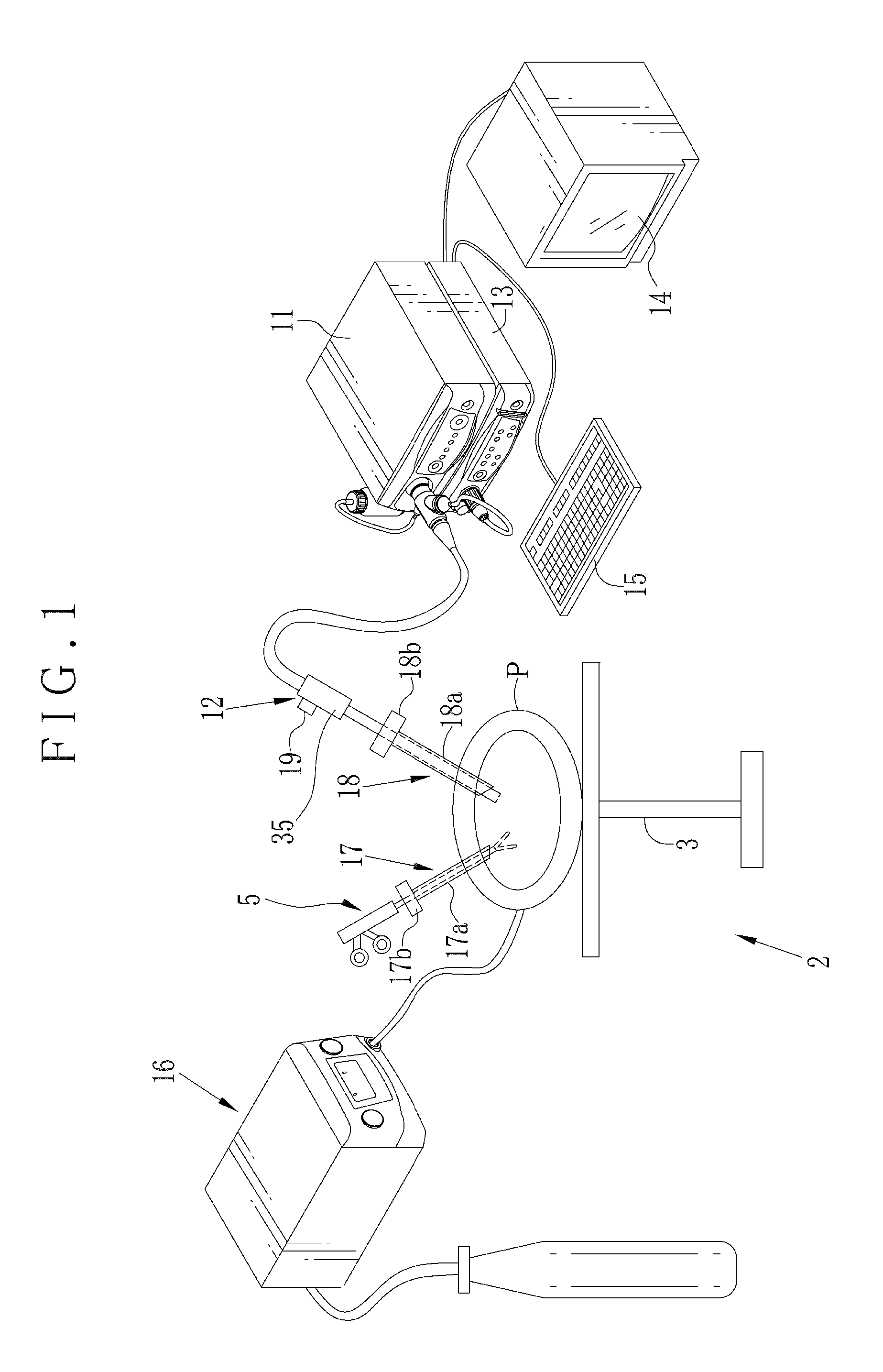 Tissue imaging system and in vivo monitoring method