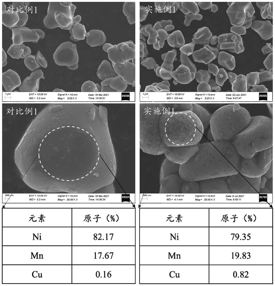 Cobalt-free high-nickel positive electrode material and preparation method thereof