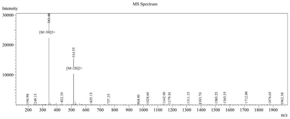 Cyclopeptide capable of resisting multi-drug-resistant bacteria and application of cyclopeptide