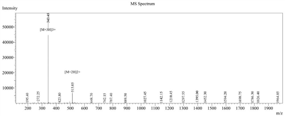 Cyclopeptide capable of resisting multi-drug-resistant bacteria and application of cyclopeptide