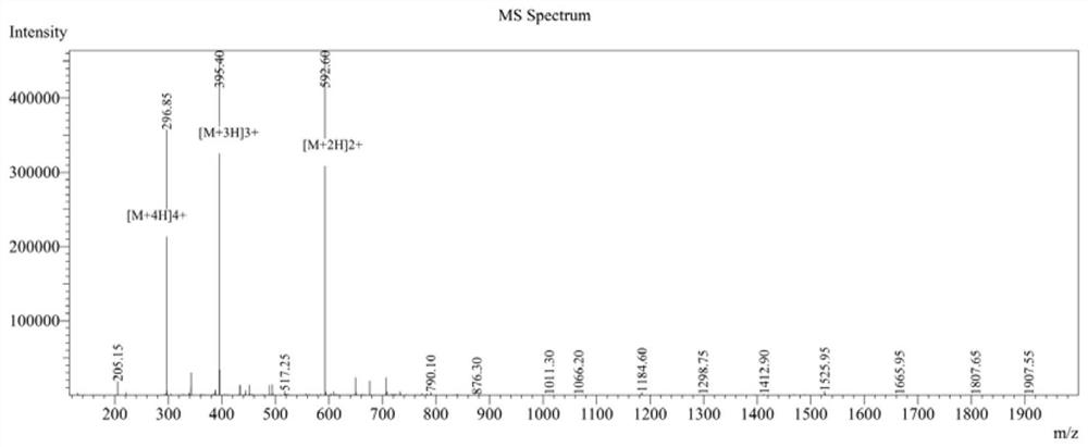 Cyclopeptide capable of resisting multi-drug-resistant bacteria and application of cyclopeptide