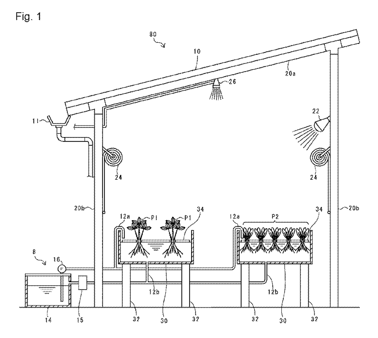 High-shelf hydroponic cultivation system equipped with solar panel